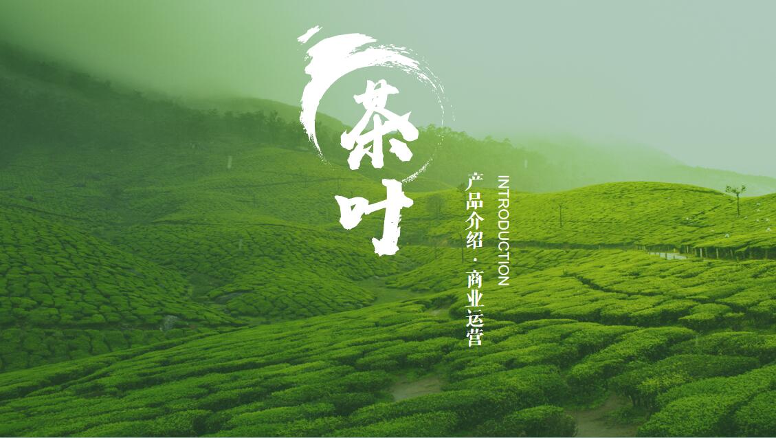ppt模板-茶文化茶叶介绍茶叶宣传清新