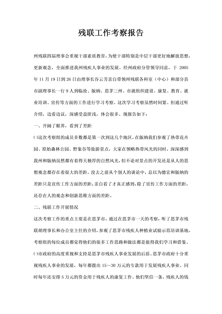 word模板-残联工作考察报告